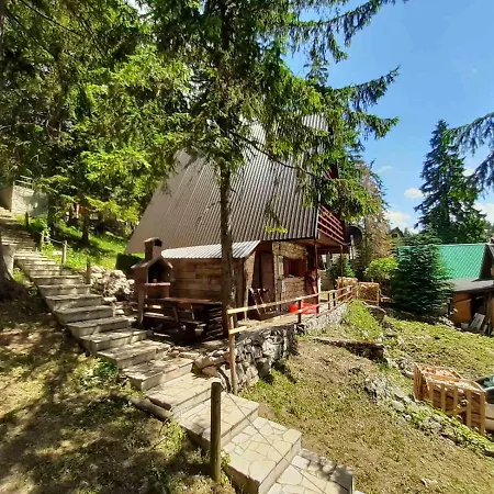 Rani Mraz * Travnik